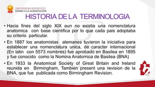 HISTORIA DELA TERMINOLOGIA
• Hacia fines del siglo XIX aun no existia una nomenclatura
anatomica con base cientifica por lo que cada pais adoptaba
su criterio particular.
• En 1887 los anatomistas alemanes tuvieron la iniciativa para
establecer una nomenclatura unica, de caracter internacional
(En latin con 5573 nombres) fue aprobado en Basilea en 1895
y fue conocido como la Nomina Anatomica de Basilea (BNA)
• En 1933 la Anatomical Society of Great Britain and Ireland
reunida en Birmingham, Tambien present una revision de la
BNA, que fue publicada como Birmingham Revision.
 