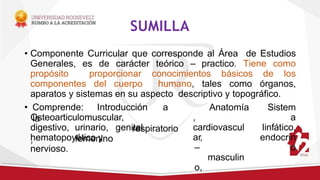 SUMILLA
• Componente Curricular que corresponde al Área de Estudios
Generales, es de carácter teórico – practico. Tiene como
propósito proporcionar conocimientos básicos de los
componentes del cuerpo humano, tales como órganos,
aparatos y sistemas en su aspecto descriptivo y topográfico.
• Comprende: Introducción a
la
Osteoarticulomuscular,
respiratorio
,
digestivo, urinario, genital
femenino
Anatomía
,
cardiovascul
ar,
–
masculin
o,
Sistem
a
linfático,
endocrin
o
hematopoyético y
nervioso.
 