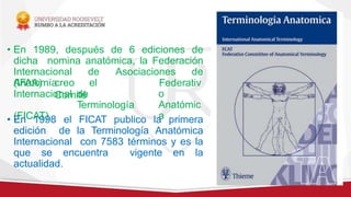 • En 1989, después de 6 ediciones de
dicha nomina anatómica, la Federación
Internacional de Asociaciones de
Anatomía
(IFAA) creo el
Comité
Federativ
o
Anatómic
a
Internacional de
Terminología
(FICAT).
• En 1998 el FICAT publico la primera
edición de la Terminología Anatómica
Internacional con 7583 términos y es la
que se encuentra vigente en la
actualidad.
 