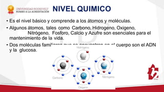 NIVEL QUIMICO
• Es el nivel básico y comprende a los átomos y moléculas.
• Algunos átomos, tales como Carbono, Hidrogeno, Oxigeno,
Nitrógeno, Fosforo, Calcio y Azufre son esenciales para el
mantenimiento de la vida.
• Dos moléculas familiares que se encuentran en el cuerpo son el ADN
y la glucosa.
 