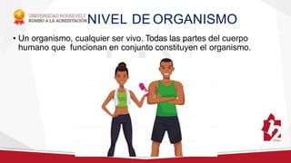 NIVEL DE ORGANISMO
• Un organismo, cualquier ser vivo. Todas las partes del cuerpo
humano que funcionan en conjunto constituyen el organismo.
 