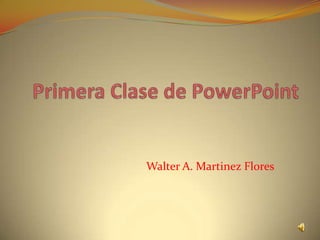 Walter A. Martinez Flores
 