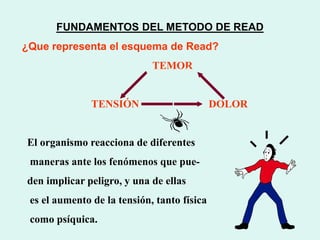 FUNDAMENTOS DEL METODO DE READ
¿Que representa el esquema de Read?
TEMOR
TENSIÓN DOLOR
El organismo reacciona de diferentes
maneras ante los fenómenos que pue-
den implicar peligro, y una de ellas
es el aumento de la tensión, tanto física
como psíquica.
 