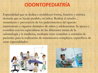 ODONTOPEDIATRÍA 
Especialidad que se dedica a restablecer forma, función y estética 
dentaria que se hayan perdido, en niños. Realiza el estudio , 
tratamiento y prevención de los padecimientos del aparato 
masticatorio y órganos dentarios de niños y adolescentes. Se apoya y 
coordina con los especialistas de las diferentes ramas de la 
odontología y la medicina, mediante inter consultas o remisión de 
pacientes para la realización de tratamientos complejos, específicos de 
otras especialidades. 
 
