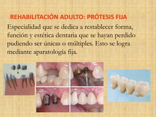 REHABILITACIÓN ADULTO: PRÓTESIS FIJA 
Especialidad que se dedica a restablecer forma, 
función y estética dentaria que se hayan perdido 
pudiendo ser únicas o múltiples. Esto se logra 
mediante aparatología fija. 
 