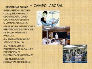 DESEMPEÑO CLINICO • CAMPO LABORAL 
-DESEMPEÑO CLINICO EN 
CUALQUIER ÁREA DE LA 
ODONTOLOGÍA, COMO 
ODONTÓLOGO GENERAL 
O COMO ESPECIALISTA. 
--TRABAJO EN INSTITUCIONES 
PRESTADORAS DE SERVICIOS 
DE SALUD, PÚBLICAS Y 
PRIVADAS. 
-EN ADMINISTRACIÓN DE 
SERVICIO DE SALUD. 
-EN PROGRAMAS DE 
PROMOCIÓN DE LA SALUD Y 
PREVENCIÓN DE 
ENFERMEDADES GENERALES. 
--EN INSTITUCIONES 
EDUCATIVAS SUPERIORES. 
 