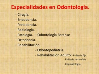Especialidades en Odontología. 
- Cirugía. 
- Endodoncia. 
- Periodoncia. 
- Radiología. 
- Patología. – Odontología Forense 
- Ortodoncia. 
- Rehabilitación. 
- Odontopediatría. 
- Rehabilitación Adulto:- Prótesis fija. 
- Prótesis removible. 
- Implantología. 
 