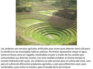 Los andenes son terrazas agrícolas artificiales que sirven para obtener tierra útil para
la siembra en las escarpadas laderas andinas. Permitían aprovechar mejor el agua,
tanto en lluvia como en regadío, haciéndola circular a través de los canales que
comunicaban sus diversos niveles, con esta medida evitaban al mismo tiempo la
erosión hidráulica del suelo. Los andenes no sólo servían para el cultivo del maíz, sino
para el cultivo de diferentes productos agrícolas, y aún para diferentes usos: para
sembradíos, para evitar la erosión, para el lavado de la sal mineral.
 