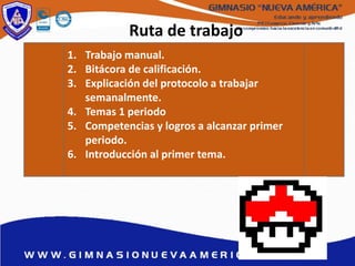 Ruta de trabajo
1. Trabajo manual.
2. Bitácora de calificación.
3. Explicación del protocolo a trabajar
semanalmente.
4. Temas 1 periodo
5. Competencias y logros a alcanzar primer
periodo.
6. Introducción al primer tema.
 