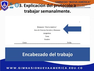 3. Explicación del protocolo a
trabajar semanalmente.
Encabezado del trabajo
 