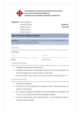 UNIVERSIDAD CATÓLICA SANTIAGO DE GUAYAQUIL
                    FACULTAD DE CIENCIAS MÉDICAS
                    CÁTEDRA DE ANATOMÍA PATOLÓGICA PRÁCTICA



Integrantes: Monica Delgado
              Marcelo Gonzalez                                   Paralelo A1
              Gabriela Merino                                     Ficha # 04
              Priscila Pazmiño
              Adriana Romero

TEMA: PATOLOGÍA DIGESTIVA GÁSTRICA


OBJETIVOS: CONOCER LAS DIFERENTES PATOLOGIAS GASTROINTESTINALES CON
SUS ALTERACIONES MACROSCÓPICAS


ÓRGANO

Estómago

PESO                                         MEDIDAS

509 g.                                       25 x 10 cm.

SUPERFICIE EXTERNA

   1. Capilares trombosados e hiperemicos.
   2. Alrededor de área de hemorragia presencia de ulcera perforada (4,2
         cm) en la región de curvatura menor y antro píloro.
   3. Por la curvatura menor mide 16 cm, en la curvatura mayor mide 29 cm.

SUPERFICIE INTERNA

   1. Consistencia elástica.
   2. Ulcera de 4 cm de diámetro, los bordes son lisos, rodeado de área de
         erosión y hemorragia.
   3. En antropiloro pliegues atrofiados de mucosa gástrica de extensión de
         10 cm x 9 cm, presenta zonas de hemorragia y erosión.
   4. En píloro presencia de ulcera perforada de 1 cm de diámetro rodeado
         de zonas de hemorragia
 