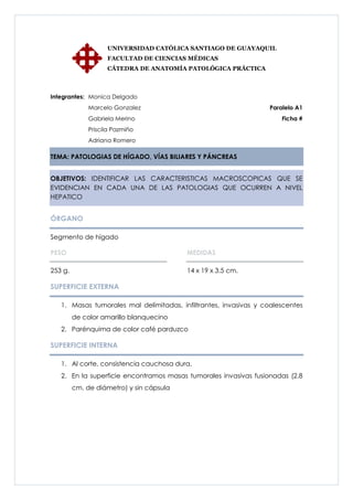 UNIVERSIDAD CATÓLICA SANTIAGO DE GUAYAQUIL
                    FACULTAD DE CIENCIAS MÉDICAS
                    CÁTEDRA DE ANATOMÍA PATOLÓGICA PRÁCTICA



Integrantes: Monica Delgado
              Marcelo Gonzalez                                    Paralelo A1
              Gabriela Merino                                         Ficha #
              Priscila Pazmiño
              Adriana Romero

TEMA: PATOLOGIAS DE HÍGADO, VÍAS BILIARES Y PÁNCREAS


OBJETIVOS: IDENTIFICAR LAS CARACTERISTICAS MACROSCOPICAS QUE SE
EVIDENCIAN EN CADA UNA DE LAS PATOLOGIAS QUE OCURREN A NIVEL
HEPATICO


ÓRGANO

Segmento de hígado

PESO                                      MEDIDAS

253 g.                                    14 x 19 x 3.5 cm.

SUPERFICIE EXTERNA

   1. Masas tumorales mal delimitadas, infiltrantes, invasivas y coalescentes
         de color amarillo blanquecino
   2. Parénquima de color café parduzco

SUPERFICIE INTERNA

   1. Al corte, consistencia cauchosa dura.
   2. En la superficie encontramos masas tumorales invasivas fusionadas (2.8
         cm. de diámetro) y sin cápsula
 