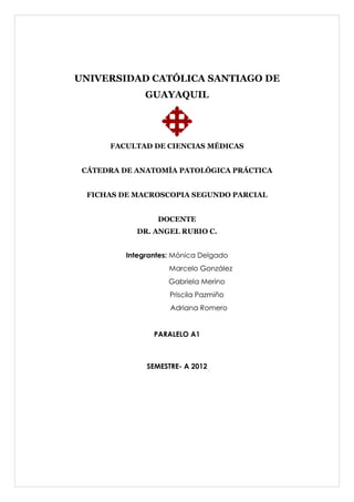 UNIVERSIDAD CATÓLICA SANTIAGO DE
               GUAYAQUIL




      FACULTAD DE CIENCIAS MÉDICAS


 CÁTEDRA DE ANATOMÍA PATOLÓGICA PRÁCTICA


  FICHAS DE MACROSCOPIA SEGUNDO PARCIAL


                  DOCENTE
            DR. ANGEL RUBIO C.


          Integrantes: Mónica Delgado
                     Marcelo González
                     Gabriela Merino
                     Priscila Pazmiño
                     Adriana Romero


                 PARALELO A1



               SEMESTRE- A 2012
 