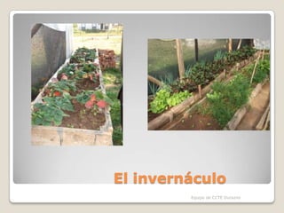 El invernáculo
Equipo de CCTE Durazno
 