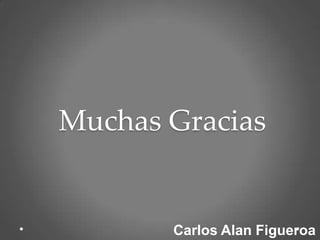 Muchas Gracias


       Carlos Alan Figueroa D
 
