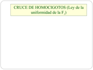 CRUCE DE HOMOCIGOTOS (Ley de la uniformidad de la F 1 ) 