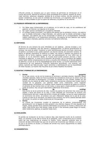 infección prenda, es necesario que un gran número de gérmenes se introduzcan en el
    cuerpo del animal, además los favorece cierta sensibilidad de la paloma, estados de stress,
    mala nutrición, esfuerzos, desgaste, pérdida de la primera remera, etc.(los pichones no
    poseen resistencia). Si esz poca la cantidad de tricomonas y el organismo está en buen
    estado, lo más probable es que no supere las defensas y la paloma no se enferme.

D) POSIBLES ORÍGENES DE LA ENFERMEDAD

     1.   Por beber agua contaminada; en el palomar, en la cesta de viaje, en los arededores del
          palomar, en charcos o en lagunas en el campo.
     2.   Por ingerir granos vomitados por una paloma infectada.
     3.   El contagio puede provocarlo; una paloma del plantel que es portadora crónica, una paloma
          que ha estado extraviada y llega infectada, una paloma que ha estado extraviada y llega
          infectada, una paloma que se ha incorporado al plantel sin el correspondiente certificado
          médico veterinario o sin tratamiento preventivo, una paloma de otro palomar que ingresa
          extraviada e infectada, palomas comunes normalmente enfermas.

E) SÍNTOMAS:

    Al término de una semana las aves infectadas se ven apáticas , plumas erizadas y con
    trastornos en la digestión, que dan diarrea y adelgazamiento: la diarrea generalmente es
    verdosa. Las aves se aislan, muestran un gran desintéres,las plumas se erizan, disminuye
    el apetito y aumenta la sed, puede aparecer una diarrea viscosa, de coloración verdosa. Si
    atacan el aparato respiratorio se observa un jadeo, hay disnea y adoptan una postura de
    pingüino. De la forma orgánica, cuando hay una generalización es muy difícil que se
    recupere. Si no se interviene rápido, la mucosa bucal puede producir necrosis y hacer
    imposible la deglución. A causa de la extensión del proceso, por la hendidura del paladar
    puede haber ciertas complicaciones de renitis y sinusitis infra orbitatoria, la bóveda palatina
    se deforma y el ave se ve en la imposibilidad de cerrar el pìco. La muerte sobreviene como
    consecuencia de una septicemia (infección bacteriana secundaria); una toxemia, una
    asfixia, inanición por falta de poder ingerir alimentos o deshidratación por la imposibilidad
    de beber líquidos. La muerte más frecuente es por entero hepatitis necrosante.

F) EXISTEN 3 FORMAS DE LA ENFERMEDAD:

     1.   Forma                                      de                                     garganta
          Es la más común, se da con la incidencia en pichones o animales jóvenes. Aparecen placas
          amarillas caseosas, éstas son focos purulentos de consistencia dura que se ubican cerca del
          paladar, dificultan la alimentación y el beber. El tamaño es muy variado, pueden ser del
          tamaño de una cabeza de alfiler hasta verdaderos granulomas caseosos que ocupan toda la
          cavidad de la garganta. Las palomas están como masticando, como tragando
          continuamente, al tomarlas con nuestras manos notamos la presencia de gases en el buche,
          el alimento de las mismas tiene un olor ácido, a veces agrio y hasta pútrido si es grande el
          grado de avance. Hay una gran estomatitis (inflamación de la boca).
     2.   Forma                                       de                                     ombligo
          Esta forma se da en pichones de nido. Cuando los padres los alimentan hay veces que cae
          papilla o leche del buche en el nido, si está infectada por tricomonas se produce una
          contaminación del nido y luego del pichón a través del ombligo, ya que los vasos sanguíneos
          no terminaron de cerrar, se produce una gran inflamación debajo de la piel de la zona.
          Cuando se abre en la necropcia, se observa que contiene una forma caseosa llamada botón
          de oriente. Un pichón en estas condiciones es irrecuperable.
     3.   Forma                                                                              orgánica
          Es cuando las tricomonas invaden el organismo de la paloma, produciendose una
          generalización con la llegada de éste parásito a los distintos órganos. El más atacado es el
          higado, dando grandes focos caseosos delimitados que producen la muerte y destrucción del
          tejido. Esta forma dura más tiempo, luego de dos o tres semanas puede llegar la muerte,
          están totalmente apáticas, se apartan hasta morir.

G) EVOLUCIÓN:

    El período de incubación es de tres a catorce días, esto depende mucho de la condición
    física, en pichones se da más la forma de la garganta, como consecuencia de la presión
    sobre las vías respiratorias se produce la muerte. Como segunda condición para la
    evolución de ésta enfermedad hay que ver el númro de tricomonas que infectan a un ave,
    ya que si el número es escaso y el estado del animal muy bueno seguramente no habrá
    patología alguna.

H) DIAGNÓSTICO:
 