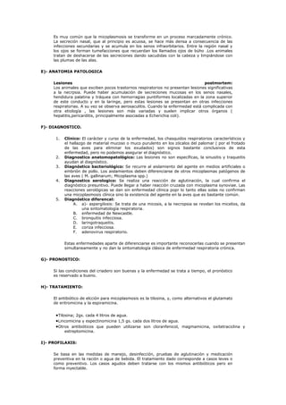 Es muy común que la micoplasmosis se transforme en un proceso marcadamente crónico.
     La secreción nasal, que al principio es acuosa, se hace más densa a consecuencia de las
     infecciones secundarias y se acumula en los senos infraorbitarios. Entre la región nasal y
     los ojos se forman tumefacciones que recuerdan los llamados ojos de búho .Los animales
     tratan de deshacerse de las secreciones dando sacudidas con la cabeza y limpiándose con
     las plumas de las alas.

E)- ANATOMIA PATOLOGICA

     Lesiones                                                                     postmortem:
     Los animales que exciben pocos trastornos respiratorios no presentan lesiones significativas
     a la necrpsia. Puede haber acumulación de secreciones mucosas en los senos nasales,
     hendidura palatina y tráquea con hemorragias puntiformes localizadas en la zona superior
     de este conducto y en la laringe, pero estas lesiones se presentan en otras infecciones
     respiratorias. A su vez se observa aerosaculitis. Cuando la enfermedad está complicada con
     otra etiología , las lesiones son más variadas y suelen implicar otros órganos (
     hepatitis,pericarditis, principalmente asociadas a Echerichia coli).

F)- DIAGNOSTICO.

      1.   Clinico: El carácter y curso de la enfermedad, los chasquidos respiratorios característicos y
           el hallazgo de material mucoso o muco purulento en los zócalos del palomar ( por el frotado
           de las aves para eliminar los exudados) son signos bastante conclusivos de esta
           enfermedad, pero no podemos asegurar el diagnóstico.
      2.   Diagnostico anatomopatológico: Las lesiones no son específicas, la sinusitis y traqueitis
           ayudan al diagnóstico.
      3.   Diagnóstico bacteriológico: Se recurre al aislamiento del agente en medios artificiales o
           embrión de pollo. Los aislamientos deben diferenciarse de otros micoplasmas patógenos de
           las aves ( M. gallinarum; Micoplasma spp.)
      4.   Diagnostico serologico: Se realiza una reacción de aglutinación, la cual confirma el
           diagnóstico presuntivo. Puede llegar a haber reacción cruzada con micoplasma synoviae. Las
           reacciones serológicas se dan sin enfermedad clínica popr lo tanto ellas solas no confirman
           una micoplasmosis clínica sino la existencia del agente en la aves que es bastante común.
      5.   Diagnóstico diferencal:
                A. a)- aspergilosis: Se trata de una micosis, a la necropsia se revelan los micelios, da
                     una sintomatología respiratoria.
                B. enfermedad de Newcastle.
                C. bronquitis infecciosa.
                D. laringotraqueitis.
                E. coriza infecciosa.
                F. adenovirus respiratorio.

           Estas enfermedades aparte de diferenciarse es importante reconocerlas cuando se presentan
           simultaneamente y no dan la sintomatología clásica de enfermedad respiratoria crónica.

G)- PRONOSTICO:

     Si las condiciones del criadero son buenas y la enfermedad se trata a tiempo, el pronóstico
     es reservado a bueno.

H)- TRATAMIENTO:

     El antibiótico de elcción para micoplasmosis es la tilosina, y, como alternativos el glutamato
     de eritromicina y la espiramicina.


      Tilosina; 2gs. cada 4 litros de agua.
      Lincomicina y espectinomicina 1,5 gs. cada dos litros de agua.
      Otros antibióticos que pueden utilizarse son cloranfenicol, magmamicina, oxitetraciclina y
           estreptomicina.

I)- PROFILAXIS:

     Se basa en las medidas de manejo, desinfección, pruebas de aglutinación y medicación
     preventiva en la ración o agua de bebida. El tratamiento dado corresponde a casos leves o
     como preventivo. Los casos agudos deben tratarse con los mismos antibióticos pero en
     forma inyectable.
 