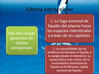 Edema extracelular 