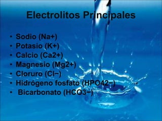 Electrolitos Principales Sodio (Na+) Potasio (K+) Calcio (Ca2+) Magnesio (Mg2+) Cloruro (Cl−) Hidrógeno fosfato (HPO42−)  Bicarbonato (HCO3−) 