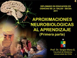 1<br />DIPLOMADO EN EDUCACION EN CIENCIAS DE LA  SALUD-  DECSA 2011<br />APROXIMACIONES NEUROBIOLOGICAS AL APRENDIZAJE<br ...