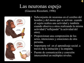 Neuroplasticidad  y ambienteEfectos del ambiente enriquecido (¿?) sobre la arborización dendrítica del cerebro de ratas