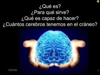 3<br />25/07/2011<br />¿Qué es?<br />¿Para qué sirve?<br />¿Qué es capaz de hacer?<br />¿Cuántos cerebros tenemos en el cr...
