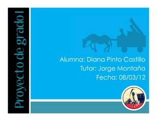 Proyecto de grado I


                      Alumna: Diana Pinto Castillo
                           Tutor: Jorge Montaña
                                 Fecha: 08/03/12
 