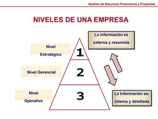 NIVELES DE UNA EMPRESA
Nivel
Estratégico
Nivel Gerencial
Nivel
Operativo
La información es
externa y resumida
La Información es:
interna y detallada
Gestión de Recursos Financieros y Proyectos
 