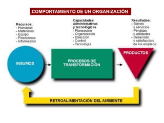 COMPORTAMIENTO DE UN ORGANIZACIÓN
 