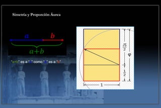 Simetría y Proporción Áurea “ a+b ” es a “ a ” como “ a ” es a “ b ” 