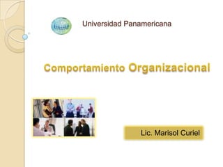 Universidad Panamericana Comportamiento Organizacional Lic. Marisol Curiel  