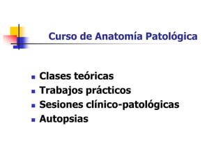Curso de Anatomía Patológica



   Clases teóricas
   Trabajos prácticos
   Sesiones clínico-patológicas
   Autopsias
 