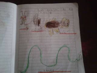 Primera semana de clases