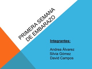 Integrantes:

Andrea Álvarez
Silvia Gómez
David Campos
 