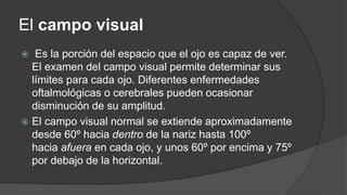 El campo visual 
 Es la porción del espacio que el ojo es capaz de ver. 
El examen del campo visual permite determinar sus 
límites para cada ojo. Diferentes enfermedades 
oftalmológicas o cerebrales pueden ocasionar 
disminución de su amplitud. 
 El campo visual normal se extiende aproximadamente 
desde 60º hacia dentro de la nariz hasta 100º 
hacia afuera en cada ojo, y unos 60º por encima y 75º 
por debajo de la horizontal. 
 