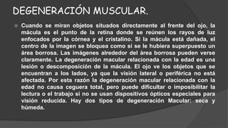 DEGENERACIÓN MUSCULAR. 
 Cuando se miran objetos situados directamente al frente del ojo, la 
mácula es el punto de la retina donde se reúnen los rayos de luz 
enfocados por la córnea y el cristalino. Si la mácula está dañada, el 
centro de la imagen se bloquea como si se le hubiera superpuesto un 
área borrosa. Las imágenes alrededor del área borrosa pueden verse 
claramente. La degeneración macular relacionada con la edad es una 
lesión o descomposición de la mácula. El ojo ve los objetos que se 
encuentran a los lados, ya que la visión lateral o periférica no está 
afectada. Por esta razón la degeneración macular relacionada con la 
edad no causa ceguera total, pero puede dificultar o imposibilitar la 
lectura o el trabajo si no se usan dispositivos ópticos especiales para 
visión reducida. Hay dos tipos de degeneración Macular: seca y 
húmeda. 
 