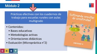 Módulo 2
Prácticas efectivas con los cuadernos de
trabajo para escuelas rurales con aulas
multigrado
• Contenidos:
• Bases educativas
• Metodologías activas
• Orientaciones didácticas
• Evaluación (Micropráctica n°2)
 