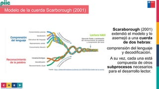 Modelo de la cuerda Scarborough (2001)
Scaraborough (2001)
extendió el modelo y lo
asemejó a una cuerda
de dos hebras:
comprensión del lenguaje
y decodificación.
A su vez, cada una está
compuesta de otros
subprocesos necesarios
para el desarrollo lector.
 