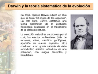 Darwin y la teoría sistemática de la evolución

       En 1859, Charles Darwin publicó un libro
       que se tituló “El origen de las especies”.
       En este libro, Darwin estableció una
       teoría sistemática de la evolución
       haciéndola descansar en el mecanismo
       de la selección natural.
       La selección natural es un proceso por el
       cual, los efectos ambientales (falta de
       recursos, clima, cambios geológicos,
       aparición de nuevas especies, etc.)
       conducen a un grado variable de éxito
       reproductivo aciertos individuos de una
       población, con rasgos diferentes y
       heredables.
 