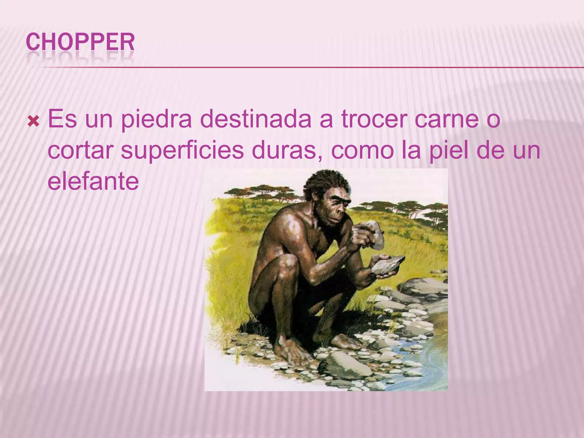 Человек это 5 класс история древнего разумный. Человек разумный (homo sapiens) внешность. Первый человек разумный. Человек это 5 класс история древнего разумный. Человек это 5 класс история древнего разумный.