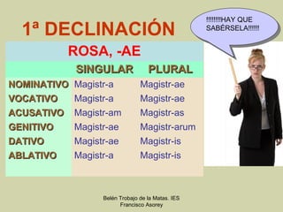 !!!!!!!!HAY QUE
                                                    !!!!!!!!HAY QUE
  1ª DECLINACIÓN                                   SABÉRSELA!!!!!!
                                                    SABÉRSELA!!!!!!


            ROSA, -AE
            SINGULAR               PLURAL
NOMINATIVO Magistr-a            Magistr-ae
VOCATIVO   Magistr-a            Magistr-ae
ACUSATIVO   Magistr-am          Magistr-as
GENITIVO    Magistr-ae          Magistr-arum
DATIVO      Magistr-ae          Magistr-is
ABLATIVO    Magistr-a           Magistr-is



                  Belén Trobajo de la Matas. IES
                        Francisco Asorey
 