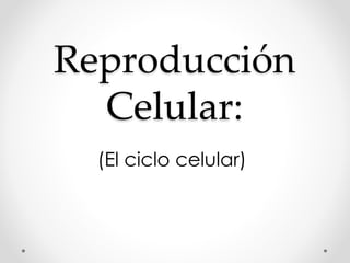 Reproducción
Celular:
(El ciclo celular)
 