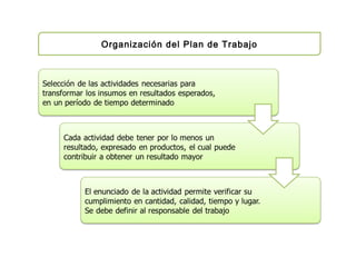 Organización del Plan de Trabajo
 