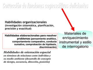 Materiales de enriquecimiento instrumental y estilo de interrogatorio Habilidades organizacionales  (investigación sistemática, planificación, precisión y exactitud) Habilidades elaboracionales para resolver problemas  (pensamiento analítico, comportamiento comparativo, conducta sumativa, comprobación de hipótesis, discriminación) Habilidades de orientación espacial  en términos de relaciones entre individuo y su medio ambiente (desarrollo de concepto de tiempo, secuencia, dirección, posición) Corrección de funciones cognoscitivas deficientes 