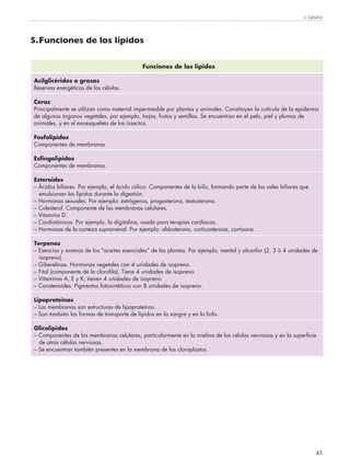 3. Lípidos
45
Funciones de los lípidos
Acilglicéridos o grasas
Reservas energéticas de las células.
Ceras
Principalmente se utilizan como material impermeable por plantas y animales. Constituyen la cutícula de la epidermis
de algunos órganos vegetales, por ejemplo, hojas, frutos y semillas. Se encuentran en el pelo, piel y plumas de
animales, y en el exoesqueleto de los insectos.
Fosfolípidos
Componentes de membranas.
Esfingolípidos
Componentes de membranas.
Esteroides
– Ácidos biliares. Por ejemplo, el ácido cólico. Componentes de la bilis, formando parte de las sales biliares que
emulsionan los lípidos durante la digestión.
– Hormonas sexuales. Por ejemplo: estrógenos, progesterona, testosterona.
– Colesterol. Componente de las membranas celulares.
– Vitamina D.
– Cardiotónicos. Por ejemplo, la digitalina, usada para terapias cardíacas.
– Hormonas de la corteza suprarrenal. Por ejemplo: aldosterona, corticosterona, cortisona.
Terpenos
– Esencias y aromas de los “aceites esenciales” de las plantas. Por ejemplo, mentol y alcanfor (2, 3 ó 4 unidades de
isopreno).
– Giberelinas. Hormonas vegetales con 4 unidades de isopreno.
– Fitol (componente de la clorofila). Tiene 4 unidades de isopreno.
– Vitaminas A, E y K; tienen 4 unidades de isopreno.
– Carotenoides. Pigmentos fotosintéticos con 8 unidades de isopreno.
Lipoproteínas
– Las membranas son estructuras de lipoproteínas.
– Son también las formas de transporte de lípidos en la sangre y en la linfa.
Glicolípidos
– Componentes de las membranas celulares, particularmente en la mielina de las células nerviosas y en la superficie
de otras células nerviosas.
– Se encuentran también presentes en la membrana de los cloroplastos.
5.Funciones de los lípidos
 