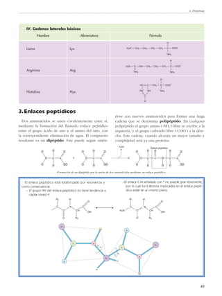 Cα
N
O
C
H
Cα
C
O
Cα
H
N
Φ
Ψ
R
H
4. Proteínas
49
3.Enlaces peptídicos
Dos aminoácidos se unen covalentemente entre sí,
mediante la formación del llamado enlace peptídico
entre el grupo ácido de uno y el amino del otro, con
la correspondiente eliminación de agua. El compuesto
resultante es un dipéptido. Este puede seguir unién-
IV. Cadenas laterales básicas
Nombre Abreviatura Fórmula
Lisina Lys
Arginina Arg
Histidina Hys
ú
Ó
Ó
Ó
ú
Ó
f ú
Ó
Ó Ó
ú
Ó
ú
Ó
Ó
Ó
ú
Ó
ú
Ó
ú
Ó
Ón
Formación de un dipéptido por la unión de dos aminoácidos mediante un enlace peptídico.
Enlace peptídico
dose con nuevos aminoácidos para formar una larga
cadena que se denomina polipéptido. En cualquier
polipéptido el grupo amino (-NH3
+
) libre se escribe a la
izquierda, y el grupo carboxilo libre (-COO-) a la dere-
cha. Esta cadena, cuando alcanza un mayor tamaño y
complejidad será ya una proteína.
CCH2 COO
–
H
+
NH3
CH2CH2CH2H3N
+
CCH2 COO
–
H
+
NH3
CH2CH2NHCH2N
+
NH2
CCH2 COO
–
H
+
NH3
CHC
HN
+
NH
C
H
El enlace peptídico está estabilizado por resonancia y
como consecuencia:
– El grupo NH del enlace peptídico no tiene tendencia a
captar iones H+
.
–El enlace C-N señalado con * no puede girar libremente,
por lo cual los 6 átomos implicados en el enlace peptí-
dico están en un mismo plano.
H2N
C
R1
C*
N
H
CH
C
R2
O
O
OH
C
R1
C*
+
N
H
CH
C
R2
O
O
–
OH
 
