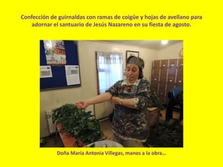 Confección de guirnaldas con ramas de coigüe y hojas de avellano para
adornar el santuario de Jesús Nazareno en su fiesta de agosto.
Doña María Antonia Villegas, manos a la obra…
 
