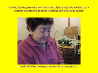 Confección de guirnaldas con ramas de coigüe y hojas de avellano para
adornar el santuario de Jesús Nazareno en su fiesta de agosto.
Doña Orfelina Contreras, dedicación y constancia…
 