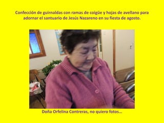 Confección de guirnaldas con ramas de coigüe y hojas de avellano para
adornar el santuario de Jesús Nazareno en su fiesta de agosto.
Doña Orfelina Contreras, no quiero fotos…
 